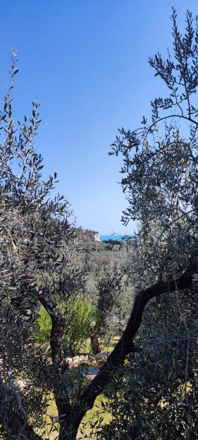 Dimora Mediterranea Mattinata Eksteriør billede